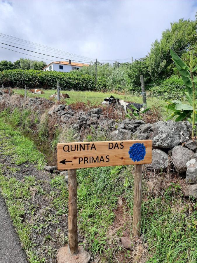 Quinta Das Primas Lomba  Exteriér fotografie