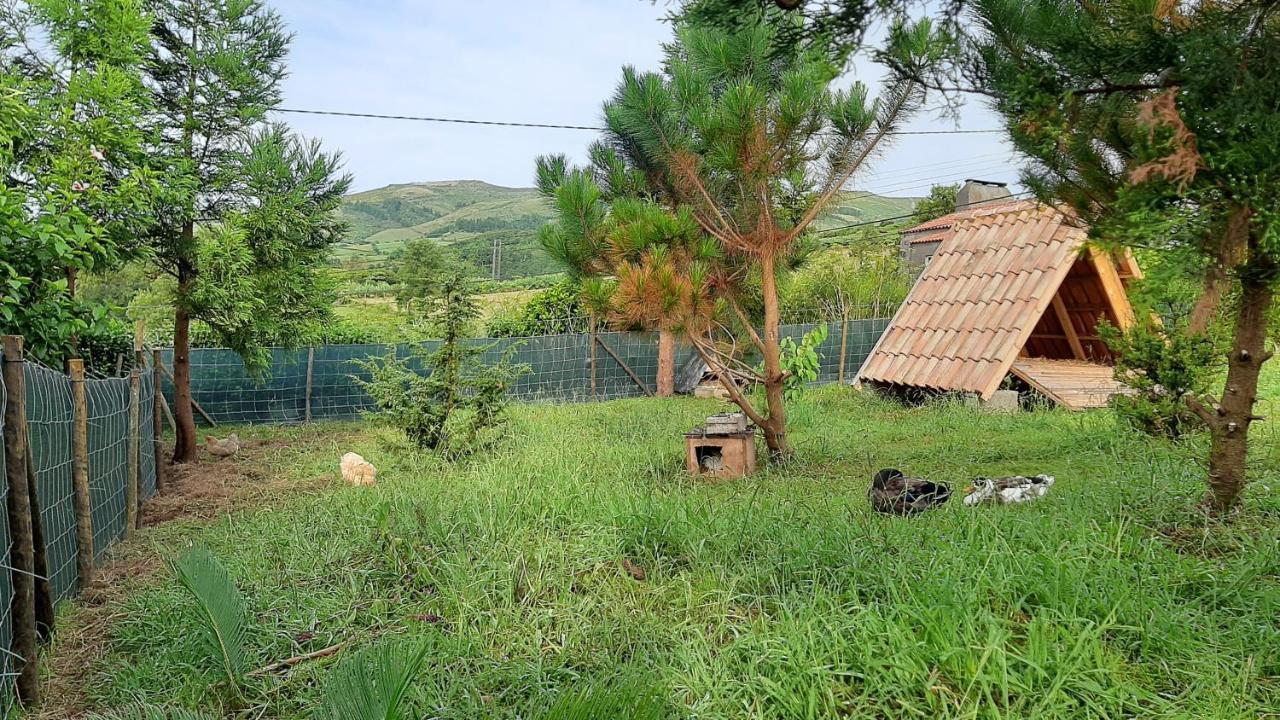 Quinta Das Primas Lomba  Exteriér fotografie